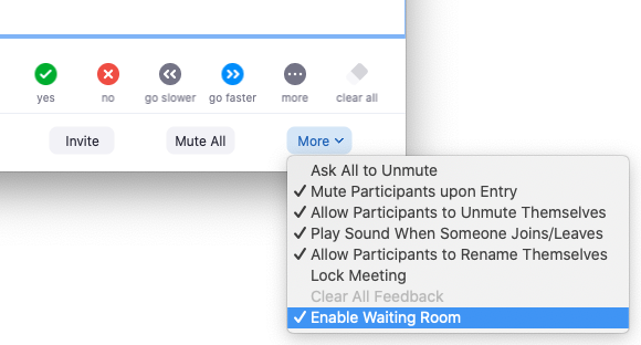 IT Public - Using Waiting Rooms in Zoom